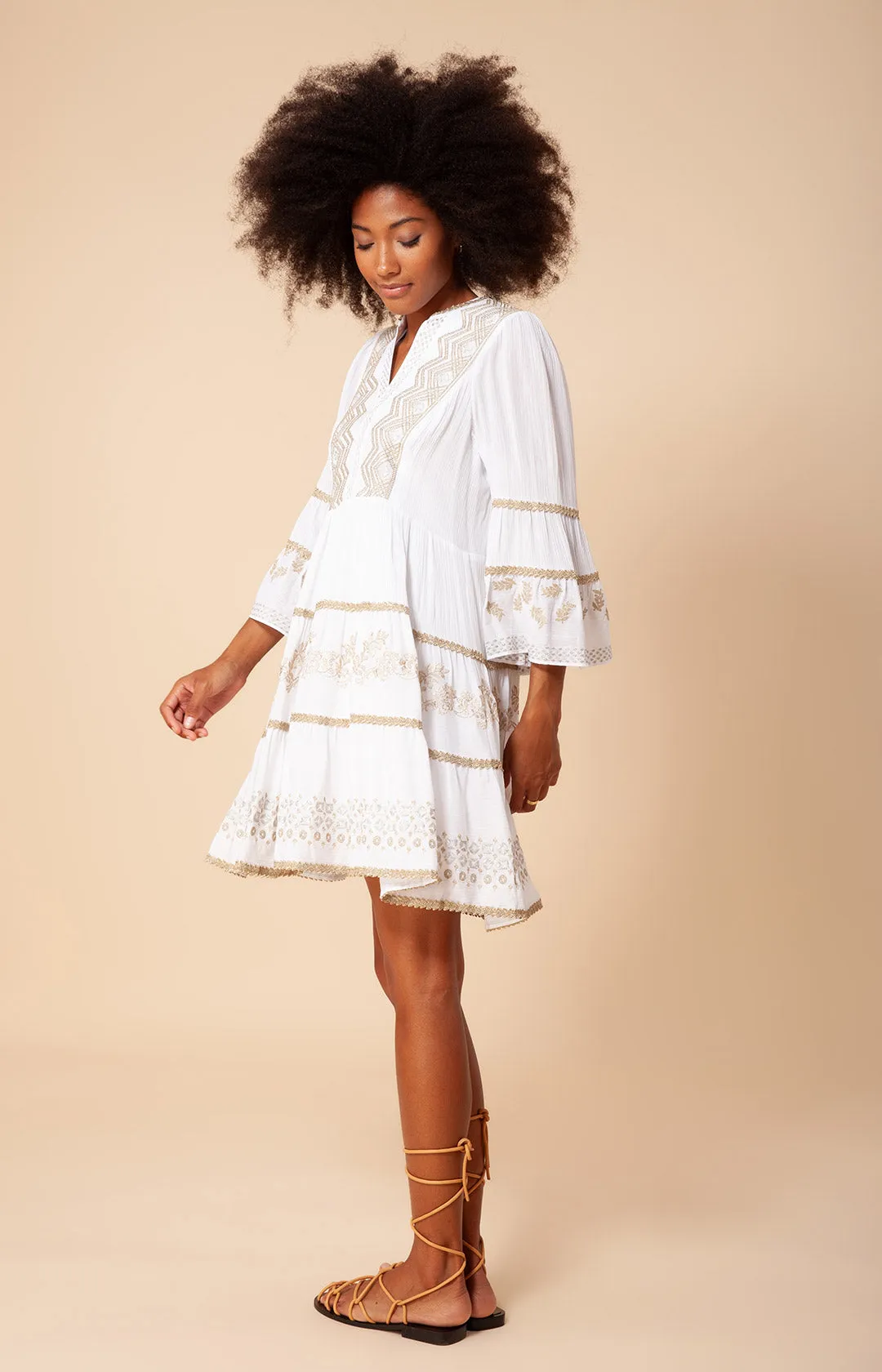 Taliah Embroidered Crinkle Gauze Dress